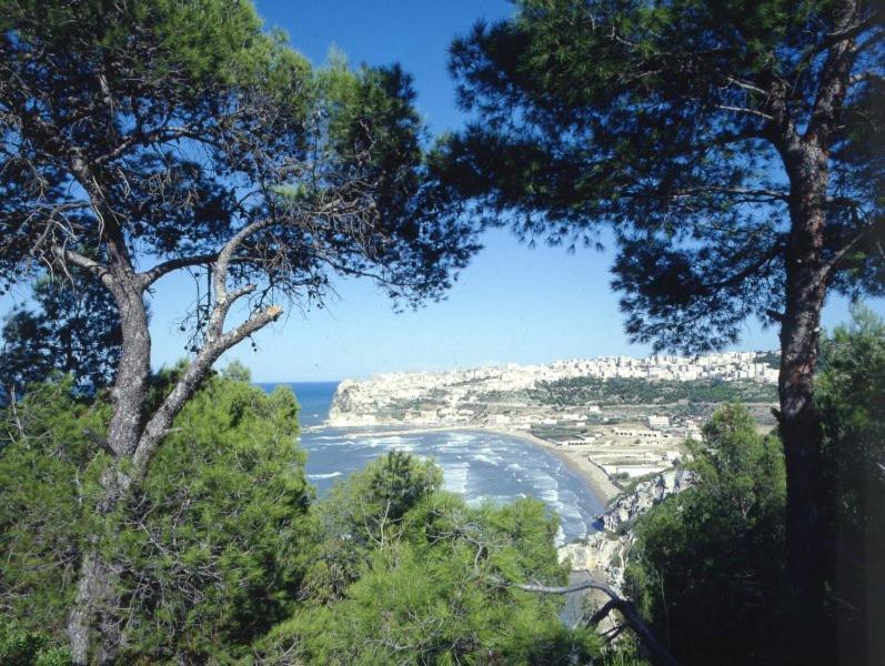 B&B Rose Villa Peschici Εξωτερικό φωτογραφία