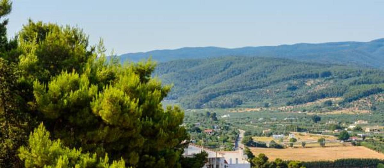 B&B Rose Villa Peschici Εξωτερικό φωτογραφία